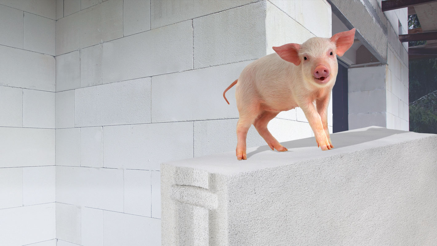 Header Schwein Pfeift